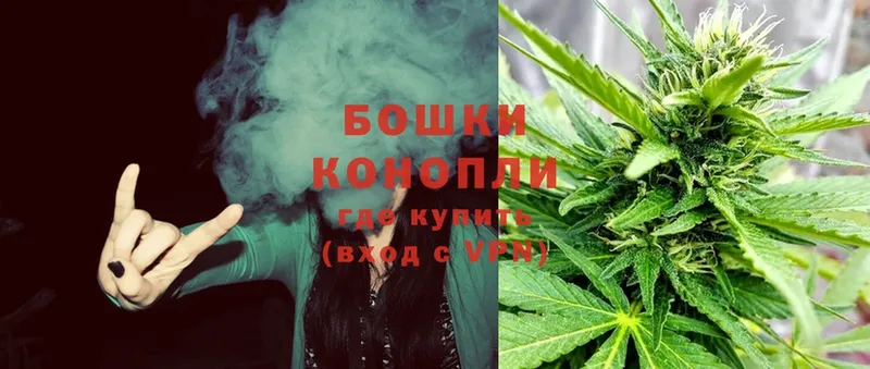 Марихуана OG Kush  мега сайт  darknet формула  Ставрополь 